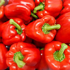 [농협] 못난이 빨강 파프리카 4kg(상품)