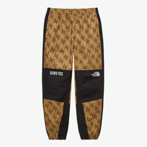 노스페이스 남성 GTX 마운틴 팬츠방수 등산 바지NP6GP50B