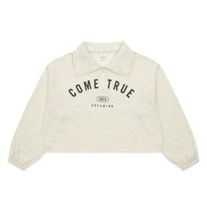 에꼴리에 sh06 하이넥변형 카라셋업티 23RT753