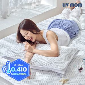 리브맘 매일 바꿔쓰는 듀라쿨 아이스냉감 베개커버 40x60
