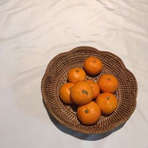 라탄 바구니 라탄 뉴 라운드 트레이