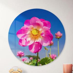 아트박스/꾸밈 af656-대형원형아크릴액자_부귀의상징풍수연꽃