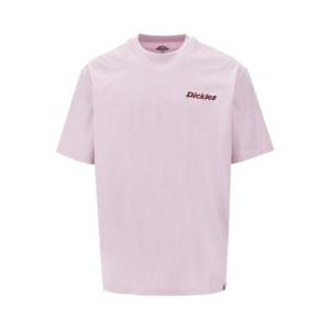 DICKIES DICKIES T-SHIRT DK0A87QP