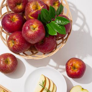 [미식한가] 햇사과 경북직송 감홍사과 (가정용) 2kg 14-16과