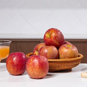 [미식한가] 햇사과 경북직송 감홍사과 (가정용) 3kg 15-18과