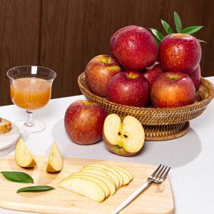 [미식한가] 햇사과 경북직송 감홍사과 (가정용) 5kg 23-28과