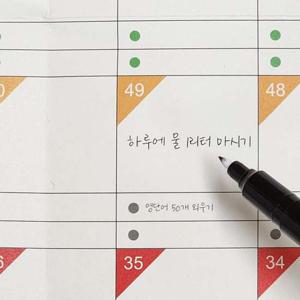 100일 디데이 플래너 공부 스터디 수험생 계획표 학습표