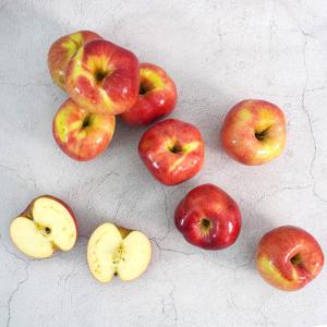 [더조은] 아리수 사과 가정용 3kg 19-21과