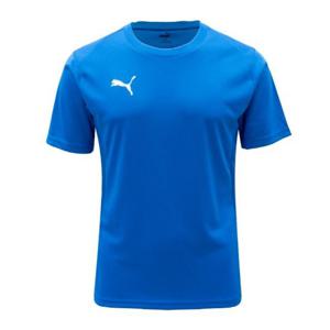 [푸마]M 푸마반팔티 ZQC 659403-02 푸마 팀골 저지 ASIA SP