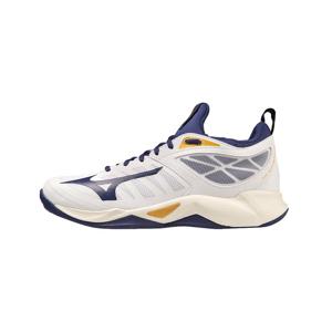 미즈노 웨이브 디멘션 인도어화 V1GA224043