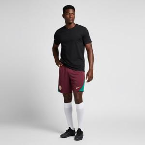 나이키 파리 생제르맹 드라이 핏 스트라이크 쇼츠 (FN9394-610)