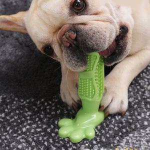 에코벨 애견 셀프칫솔/발톱깍이 슬리커브러쉬 애견빗 미용용품