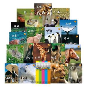 알기쉬운 자연관찰 세트 (전20권)