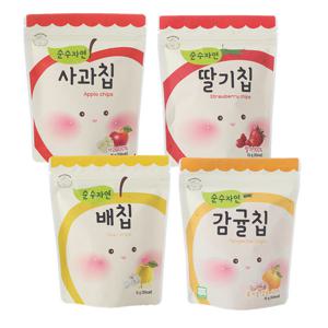 [오가닉스토리]순수자연 과일칩4종 [사과/딸기/배/감귤]