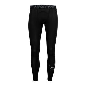 나이키 프로 드라이 핏 타이츠(DD1914010)