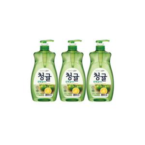 참그린 청귤 1kg 용기 3개입 라이온코리아 주방세제