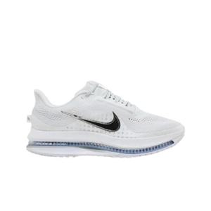 나이키 페가수스 프리미엄 화이트 메탈릭 실버 HQ2592-102