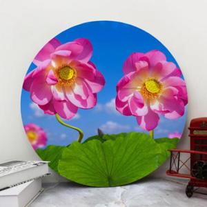 아트박스/꾸밈 af655-대형원형아크릴액자_부귀를부르는풍수연꽃