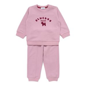 [블루독베이비8] FW25(PU)블루독BASIC 상하세트B HJ (45A7067202) (BLUEDOG BABY 유아 출산 백일 선물 도트