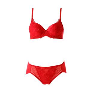 [비너스] 오르화 레드 딜라잇 브라AB컵+헴팬티 세트 [OBR5942A_B OPT5942H]