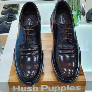 허시파피 세이브존05 남성3.5Cm굽펀칭정장구두 ASCOXSEK511