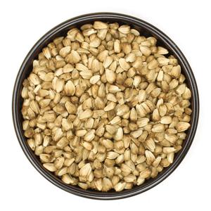 볶음 홍화씨 500g 국산 홍화자