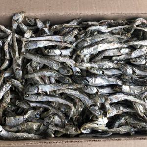 상급 다시멸치 1.5kg 무료배송 대멸치 국물멸치 멸치