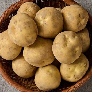 포근포근 국내산 햇 수미감자 10kg 왕특(반찬용)