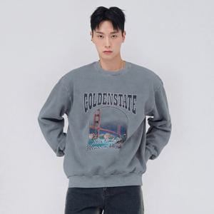 [체이스컬트]남성 기모 피그먼트 그래픽 맨투맨 티셔츠-EFRK5141