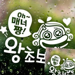 자동차스티커 Oh매너짱 왕초보예요 반사시트지 차량스
