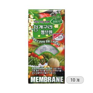 청개구리 멤브렌 차량용 방향제 장미향 10P