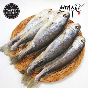 속초 중앙시장 맛집 반건조 부세 22cm 5마리
