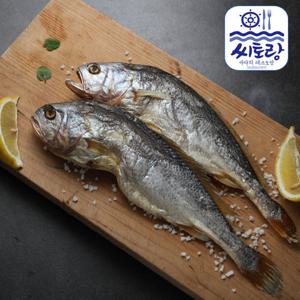 [씨토랑]법성포 해풍건조 부세보리굴비 특대 10미/30~32cm