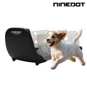 나인닷 반려동물 자동간식 & 런닝머신 NDP100 (B)/분리불안 애견