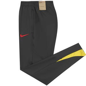 나이키 리버풀 FC 드라이 핏 스트라이크 써드 팬츠 (FQ2454-070)