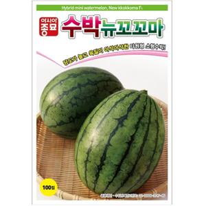 아시아종묘 씨앗 수박 뉴꼬꼬마 10립