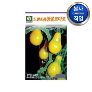 노랑조롱 방울 토마토 씨앗 50립 .  노란 작은 미니 씨 종자 베란다 텃밭 채소.