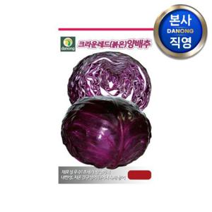 크라운레드 (붉은) 양배추 씨앗100립 . 원예 야채 채소 샐러드 텃밭 씨 종자.