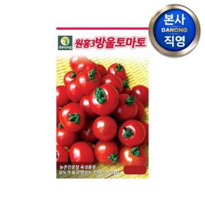 원홍3호 방울 토마토 씨앗 1만립 . 빨간 작은 원형 채소 씨 종자 텃밭 키우기.