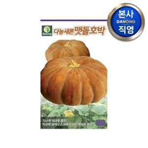 맷돌 호박 씨앗 60립 . 멧돌 야채 채소 텃밭 파종 재배 주말 농장 씨 종자.
