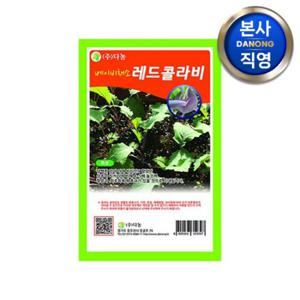 베이비 (샐러드) 레드 콜라비 씨앗 10g . 무소독 베란다 텃밭 채소 씨 종자