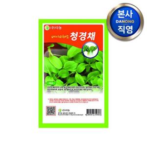 베이비 (샐러드) 청경채 씨앗 10g . 무소독 베란다 텃밭 채소 재배 씨 종자