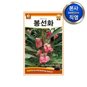 봉선화 씨앗 1kg . 봉숭아 봉숭화 봉송아 조경 정원 야생화 키우기 꽃씨 종자.