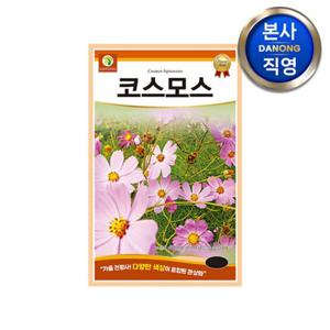 코스모스 씨앗 1kg . 조경 정원 화단 꽃밭 관상용 야생화 키우기 꽃씨 종자.