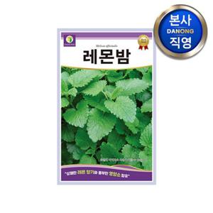 레몬밤 허브 씨앗 1g . 멜리사 정원 텃밭 화단 심기 파종 키우기 꽃씨 종자.