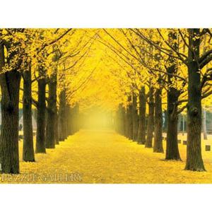 풍경화퍼즐 1000조각 직소퍼즐 - 노란 은행나무가 가득한 가로수