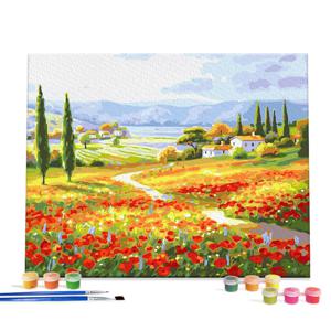 아이러브페인팅 DIY캔버스형 그림그리기 40x50cm 양귀비 마을
