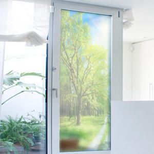 아트박스/꾸밈 cp207-눈부신나무숲길_유리문시트지