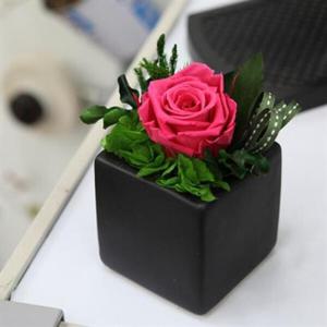 아트박스/더봄 핫핑크 베이비 / 테이블 데코