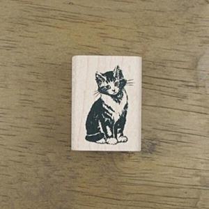 아트박스/스탬프 하우스 [동물&곤충]아기고양이 제제